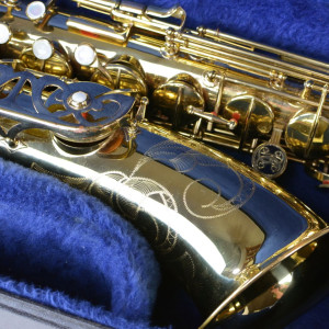 バナーナン DSC_0549-300x300.jpg